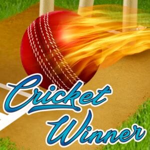 Cricket Winner screenshot
